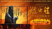梦华录免费观看